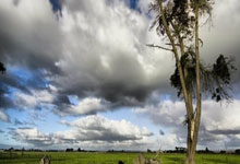 田径——南京室内世锦赛：孙宁楷获男子3000米决赛第.