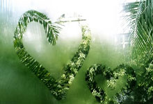 亚新体育：终于落地的中足联，会让我们的联赛有何不同？.